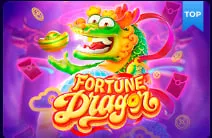 Fortune Dragon